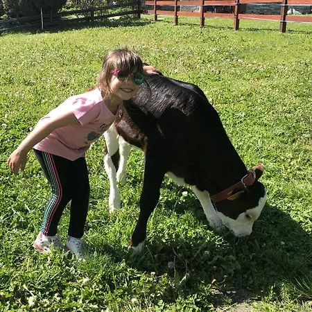 La Grange - Animal Chic Hotel Courmayeur