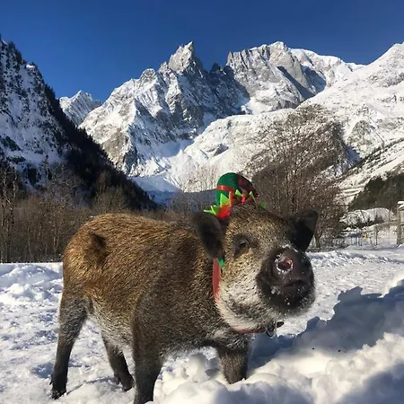 La Grange - Animal Chic