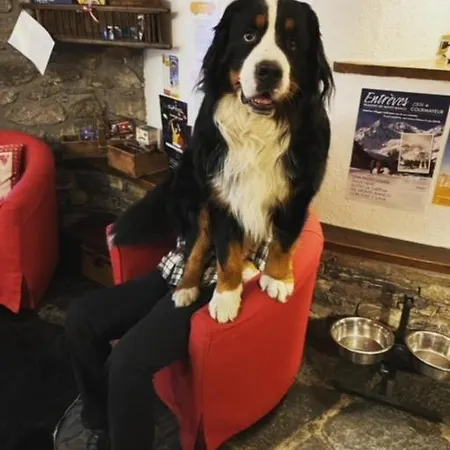 La Grange - Animal Chic Courmayeur