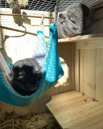 La Grange - Animal Chic Hotel 3*