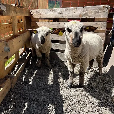 Hotel La Grange - Animal Chic Courmayeur