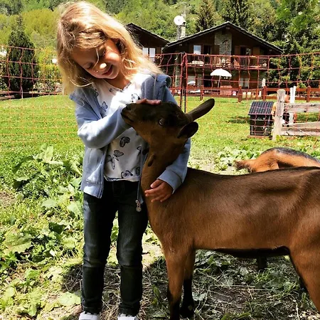 La Grange - Animal Chic Hotel Courmayeur