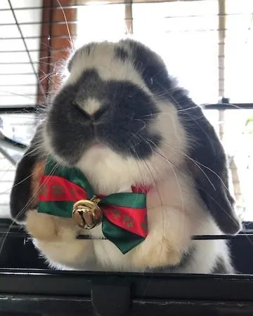 La Grange - Animal Chic 3*