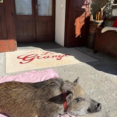 Hotell La Grange - Animal Chic Courmayeur