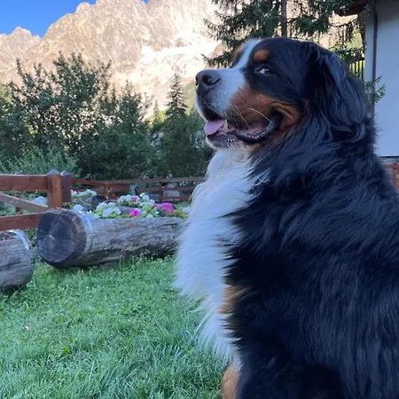 La Grange - Animal Chic 3*