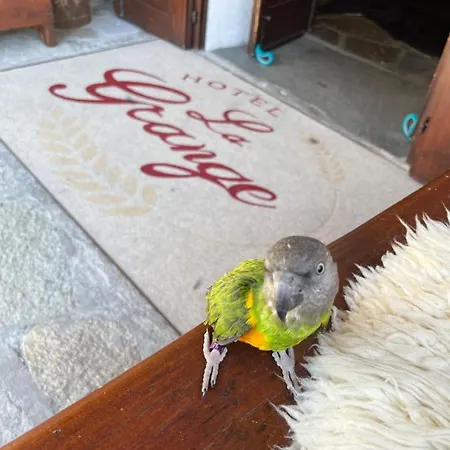 Hotel La Grange - Animal Chic Courmayeur