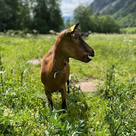 La Grange - Animal Chic 3*