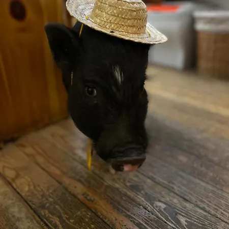 La Grange - Animal Chic