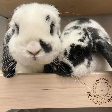 Hotel La Grange - Animal Chic