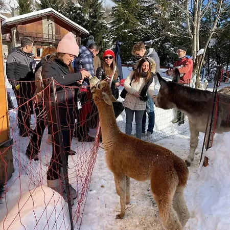 Hotel La Grange - Animal Chic 3*