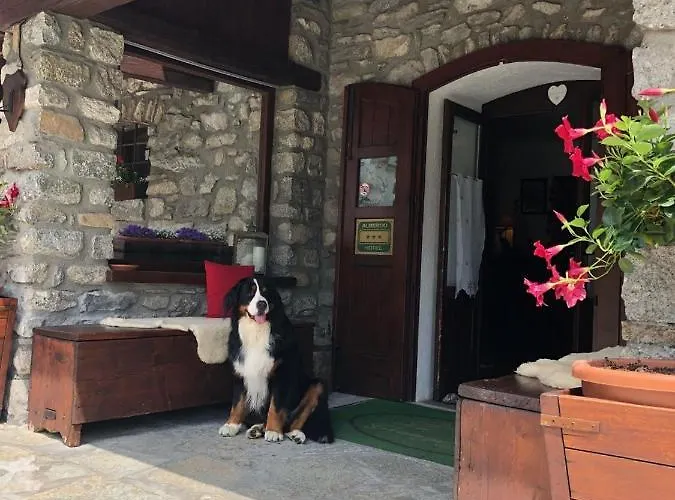 Hotel La Grange - Animal Chic Courmayeur