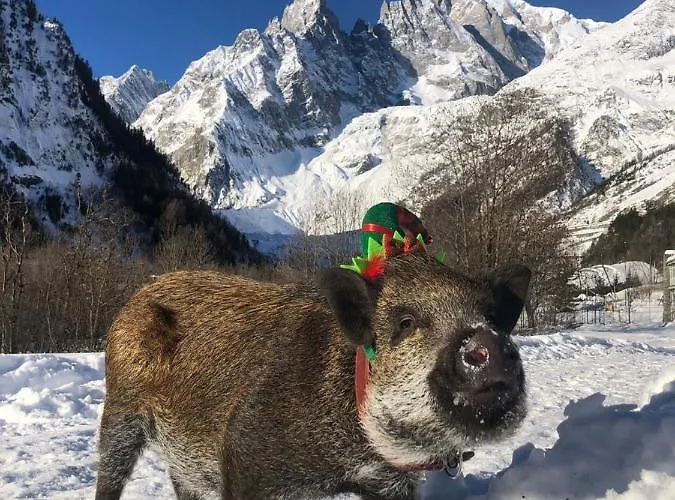 La Grange - Animal Chic