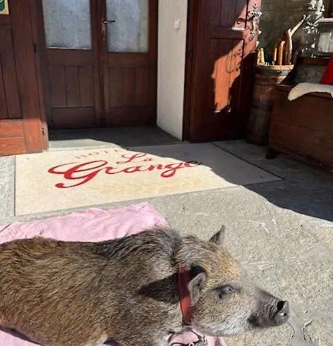 Hotel La Grange - Animal Chic Courmayeur