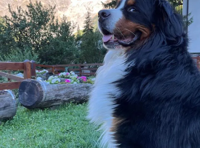 La Grange - Animal Chic 3*