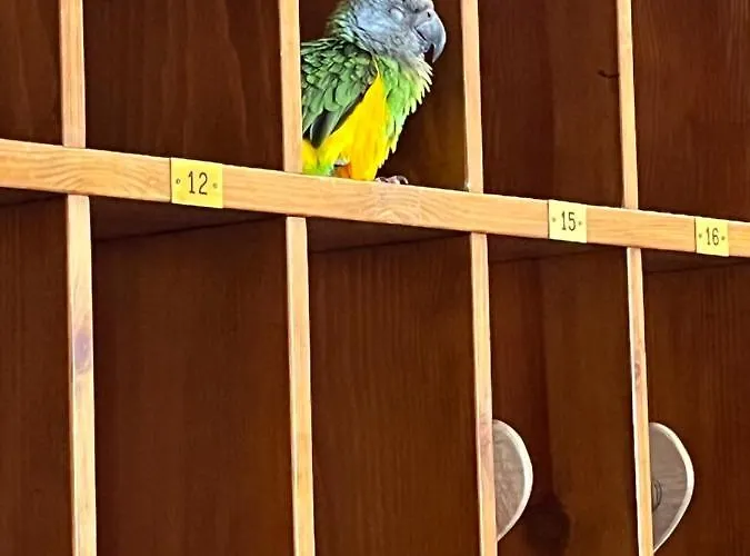 La Grange - Animal Chic Courmayeur