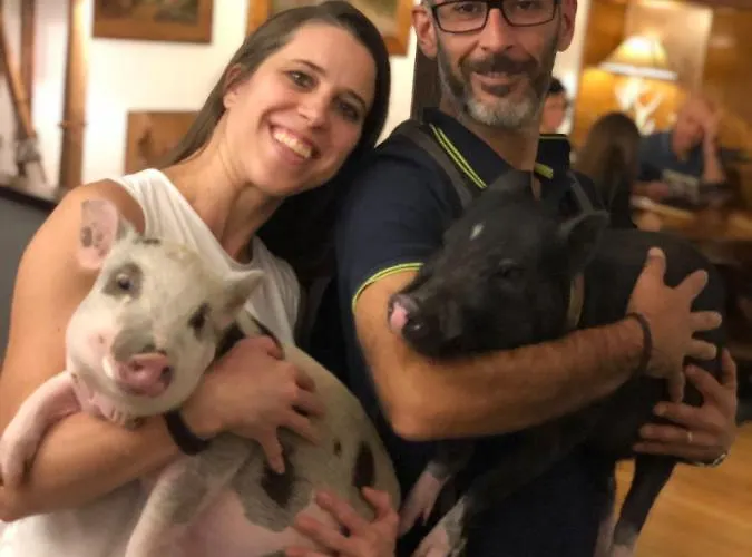 La Grange - Animal Chic