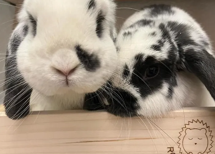 Hotel La Grange - Animal Chic