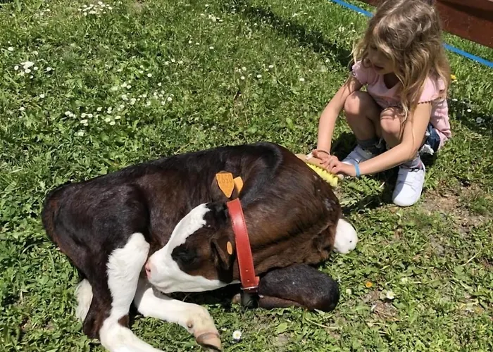 La Grange - Animal Chic 3* Courmayeur