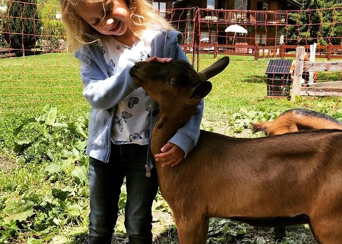 La Grange - Animal Chic Hotel Courmayeur